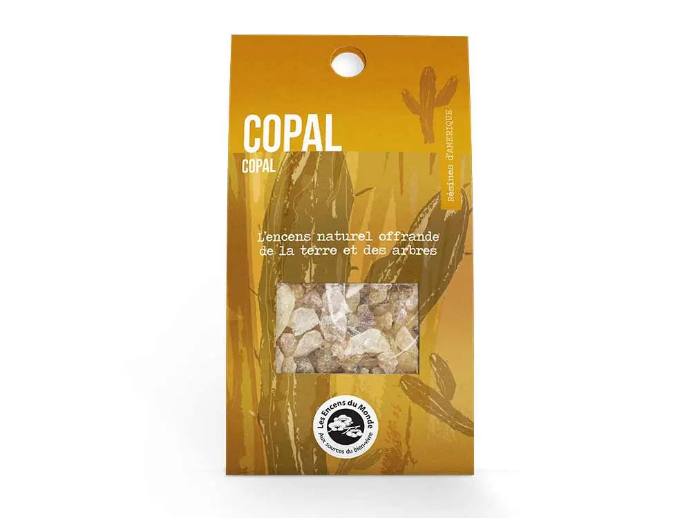 Natural Copal incense resin in transparent packaging with golden background and cactus design, 40g bag