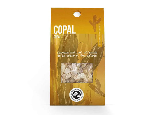 Natural Copal incense resin in transparent packaging with golden background and cactus design, 40g bag
