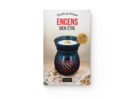 Livre encens bien-etre guide: Book cover with black incense burner and burning incense on beige background