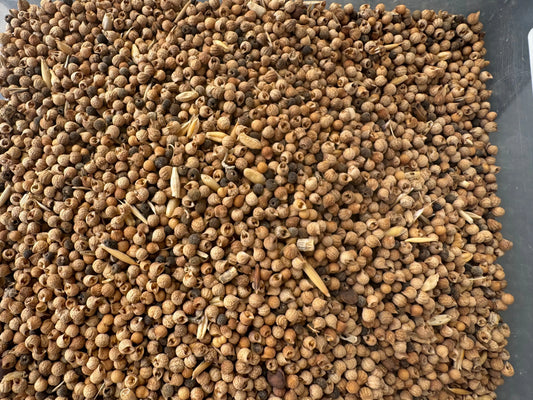 Qosboura 100g dried brown seeds in bulk, showing natural texture and pattern of traditional Moroccan spice