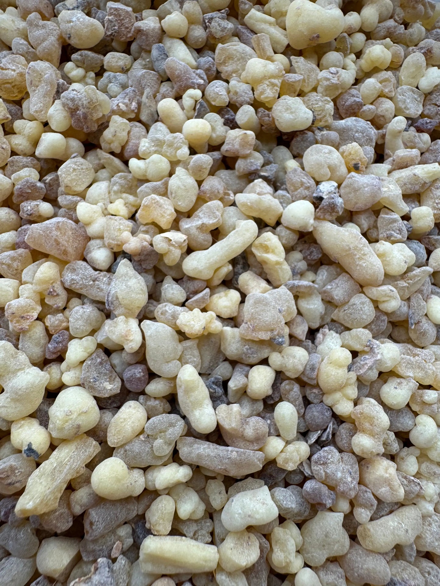 Close-up of Louban lil tajmil natural frankincense resin granules in cream and beige colors for cosmetic use