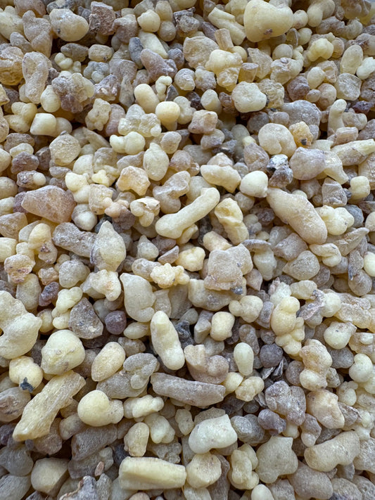 Close-up of Louban lil tajmil natural frankincense resin granules in cream and beige colors for cosmetic use