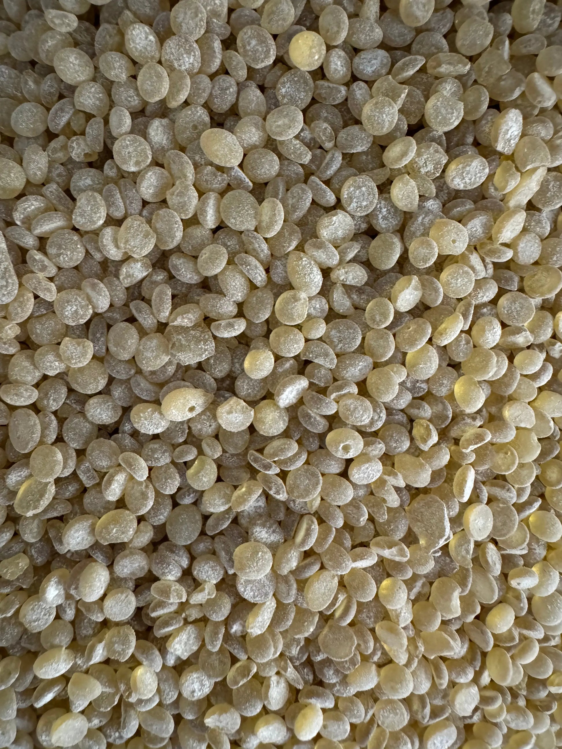 Close-up of Mastaka mastic resin tears in pale cream color, showing natural oval-shaped granules for spiritual incense