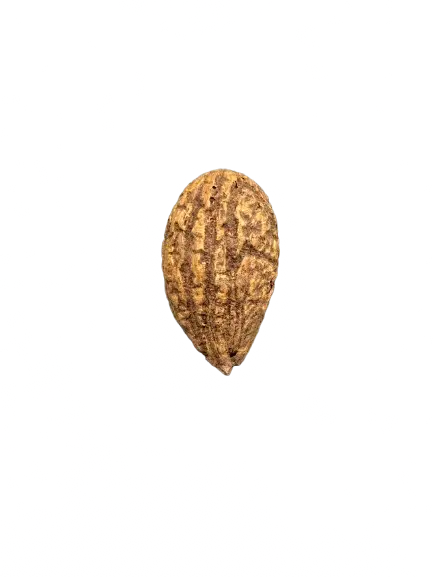 Natural OUD EL SALIB protection stone with textured brown surface in teardrop shape against white background