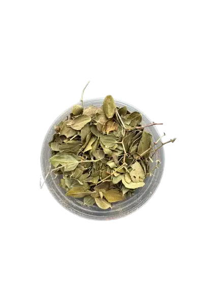 Dried Sidr leaves (Feuilles de jujubier) in clear glass bowl, traditional Islamic healing herbs, 50g pack
