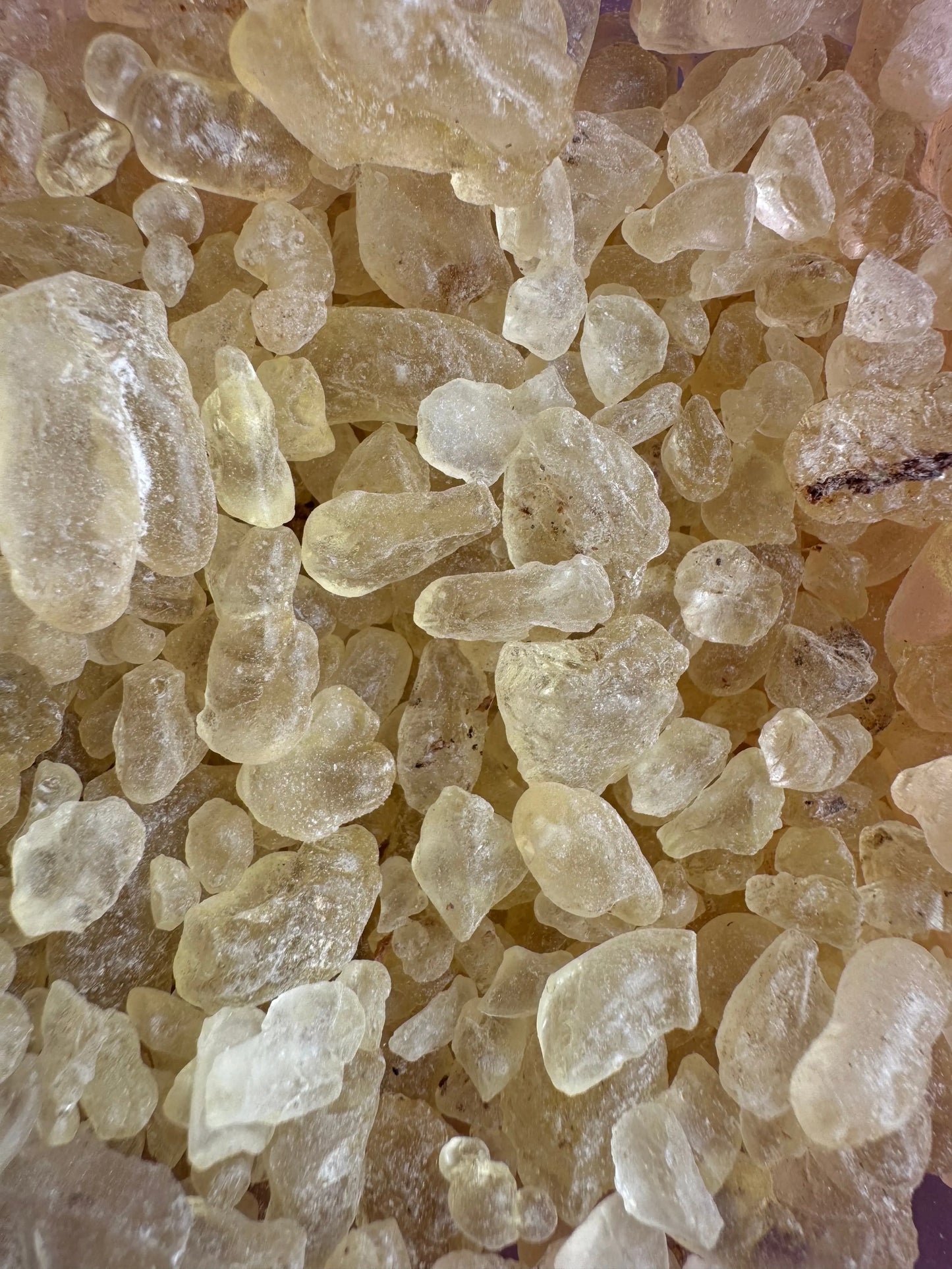 Close-up view of Mastaka hora pure mastic resin crystals, showing translucent yellowish-white granules with natural texture