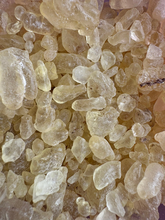 Close-up view of Mastaka hora pure mastic resin crystals, showing translucent yellowish-white granules with natural texture