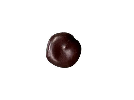 Traditional Egyptian Qerss el qmar lucky charm cookie in dark chocolate with round, smooth surface