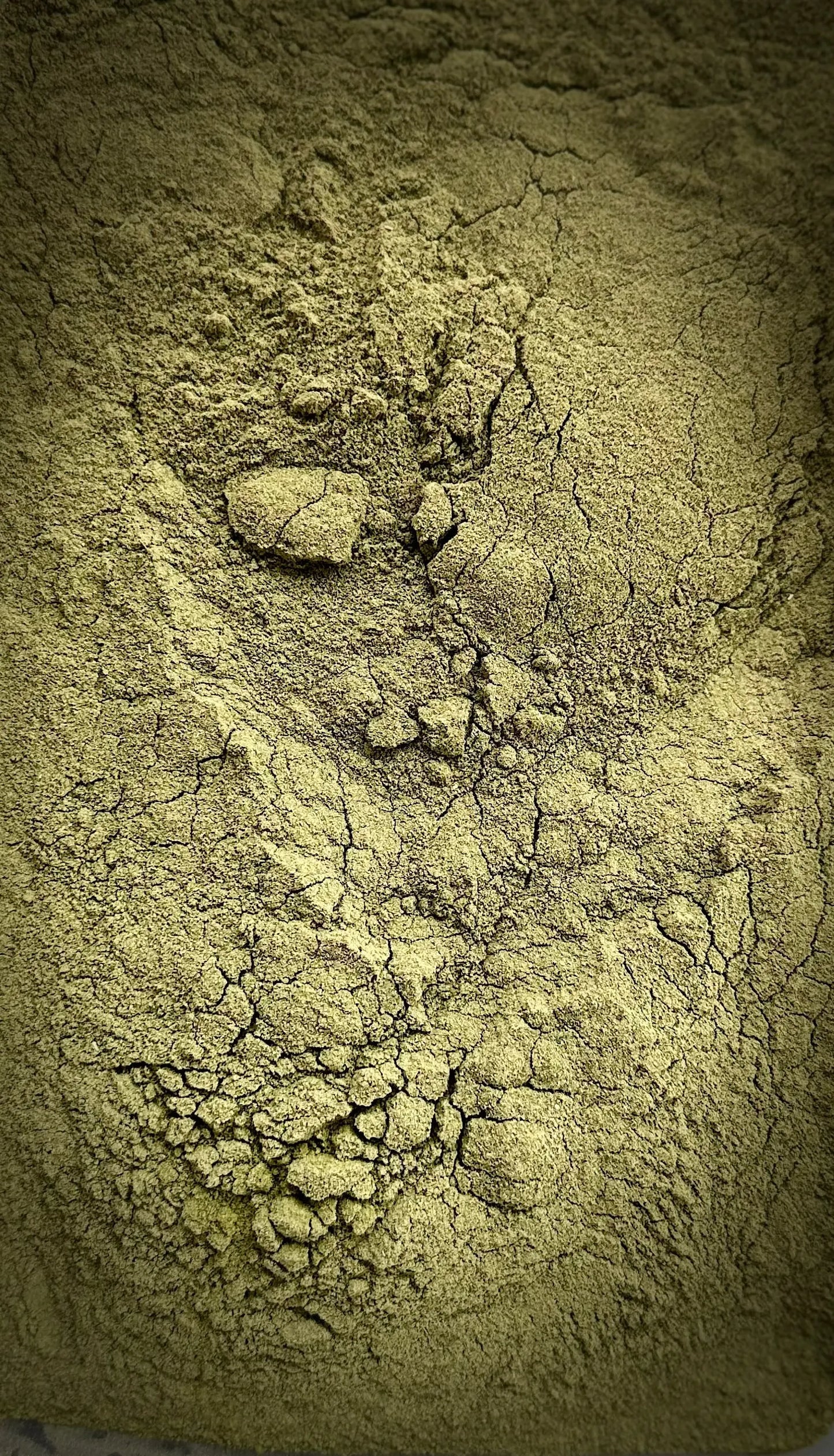 Close-up texture of finely ground Moringa powder showing natural green-olive color and powdery consistency