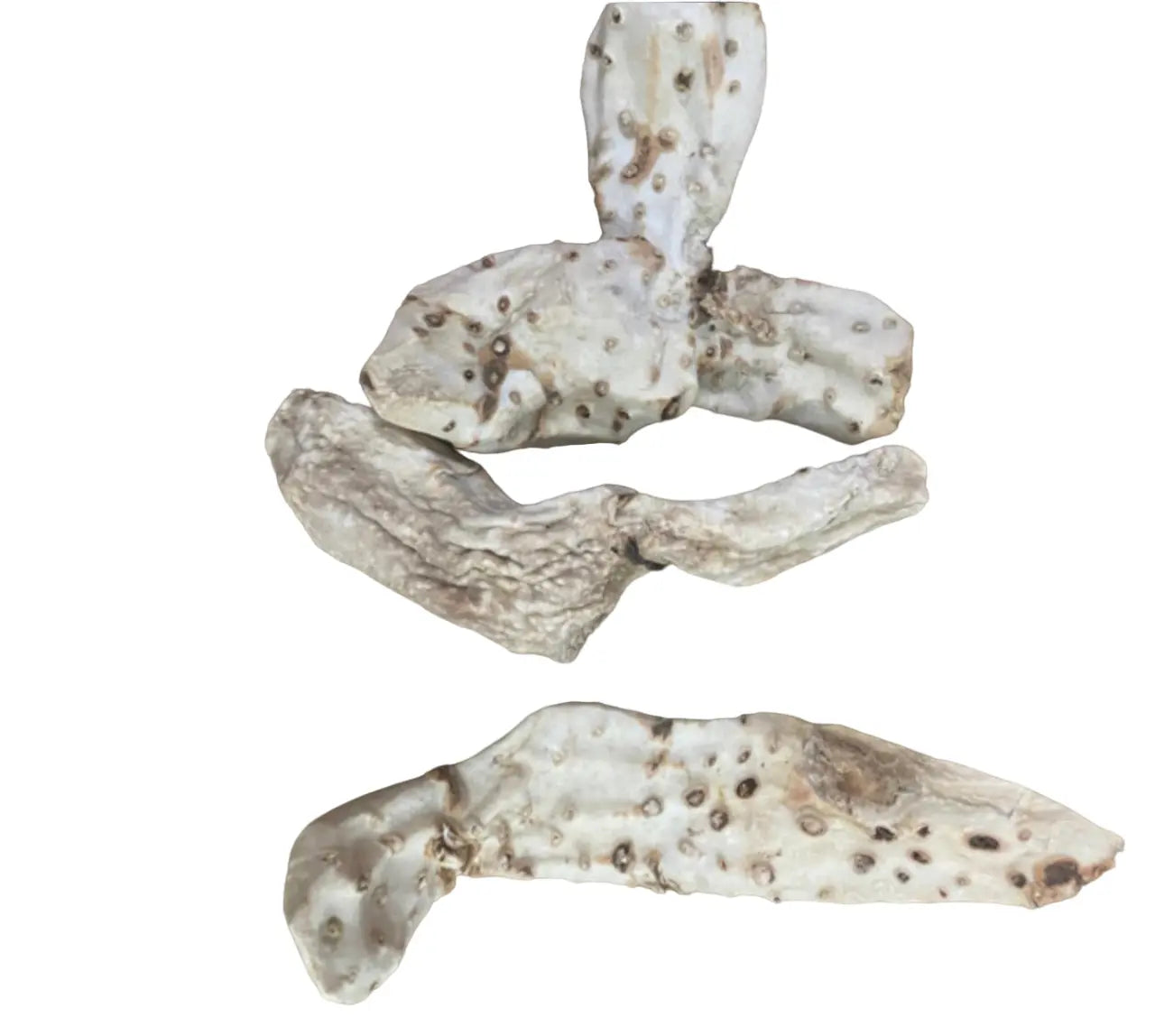 3roug el anbar - Raw white ambergris chunks with natural spots and marbling patterns, showing authentic texture and irregular shapes typical of high-quality 30g ambergris pieces.