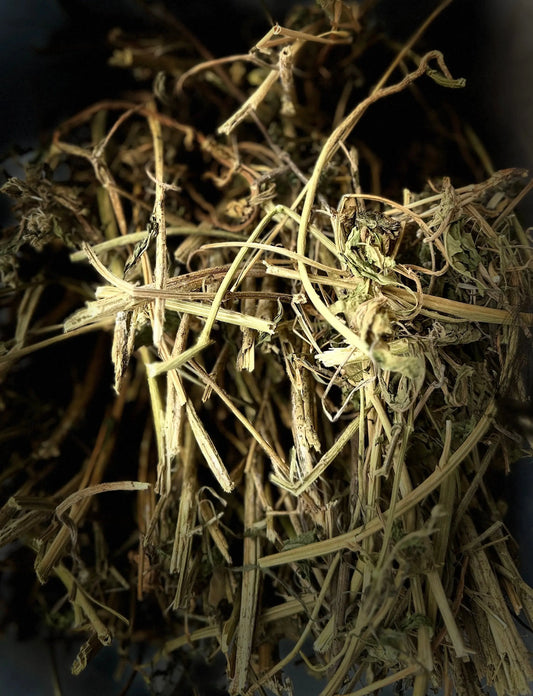 Dried Mkhinza (mkhenza) medicinal herb stems and leaves closeup showing natural texture and golden-brown color