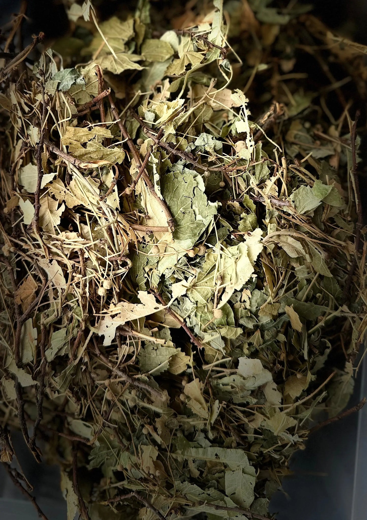 Zayzafoune - tilleul séché - 25g - زيزافون - tilyou theoriental herborist