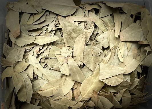 Dried eucalyptus leaves 30g herbal tea, beige dried leaves arranged in layers for respiratory and digestive health benefits