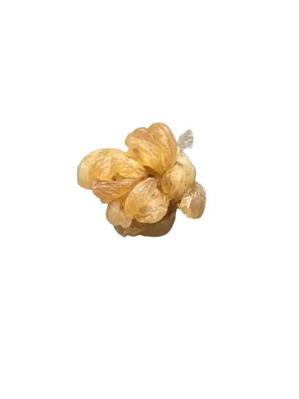 Kssira natural beauty resin in golden-beige clusters used for traditional hammam and cosmetic preparations, 100g packet