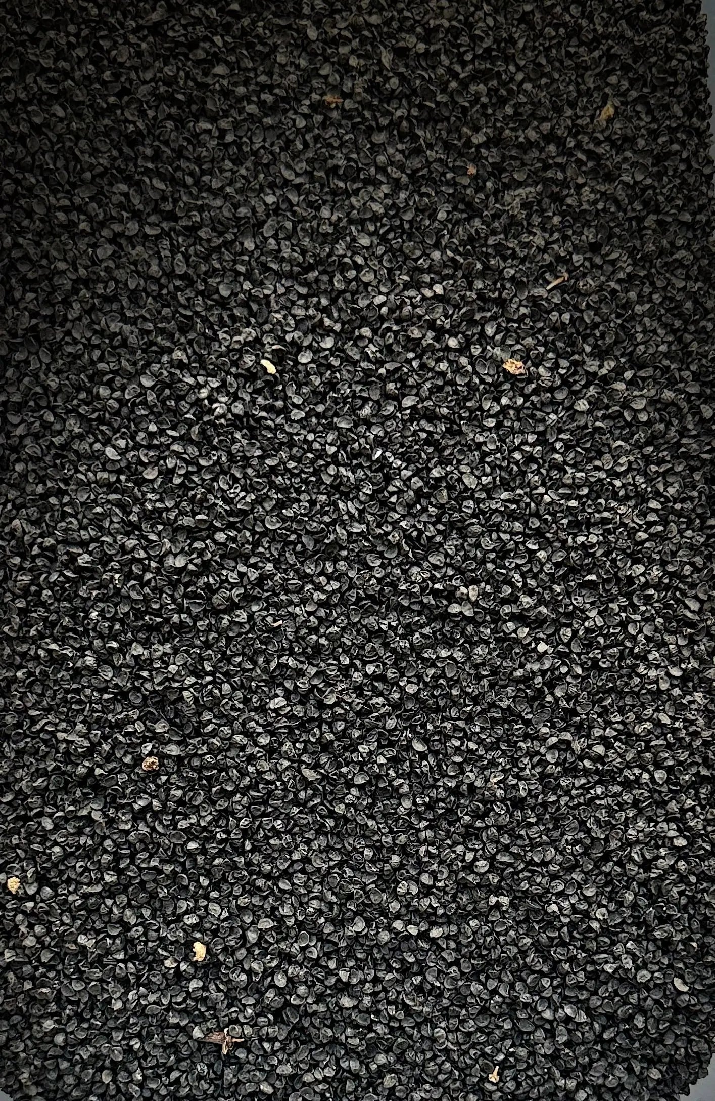 Close-up view of black onion seeds (Graines d'oignon) from Morocco showing small, irregular shaped seeds with textured surface