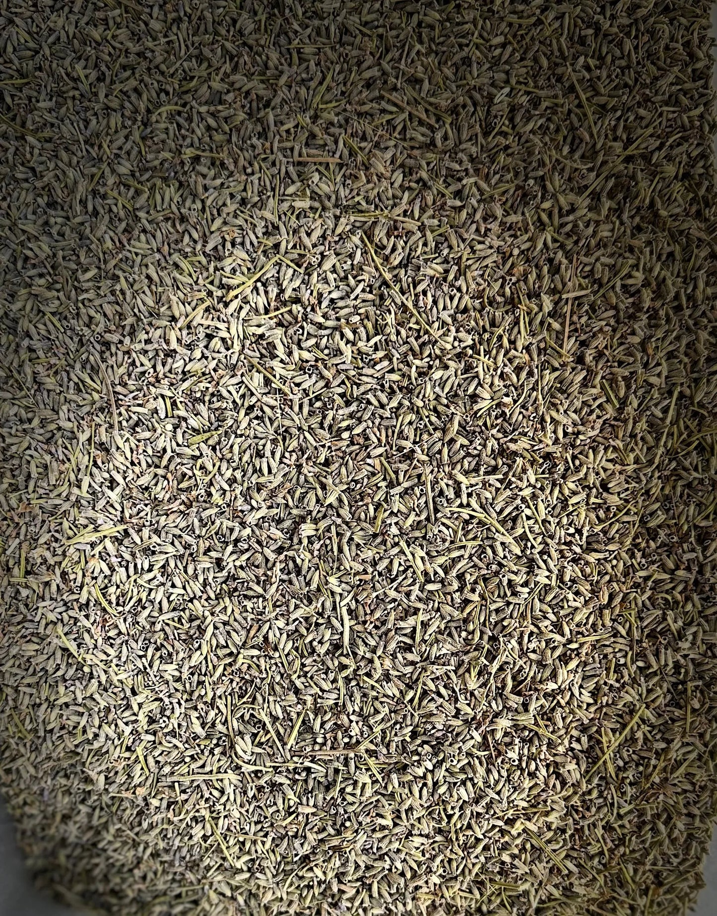 Dried Khouzama lavender herbs in grey-green color, scattered densely across frame with natural vignette lighting effect