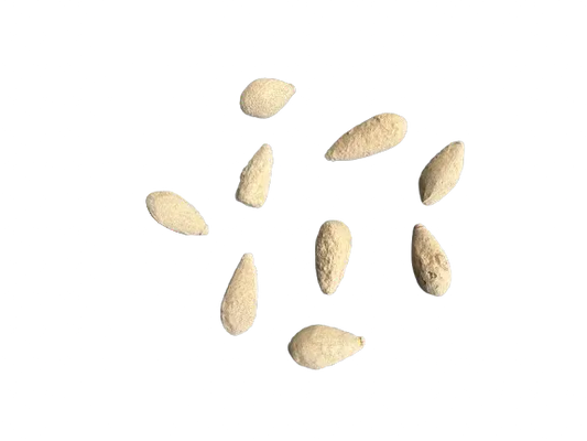 Hajrat el Fak protection stones arranged in circular pattern, beige almond-shaped natural stones on white background