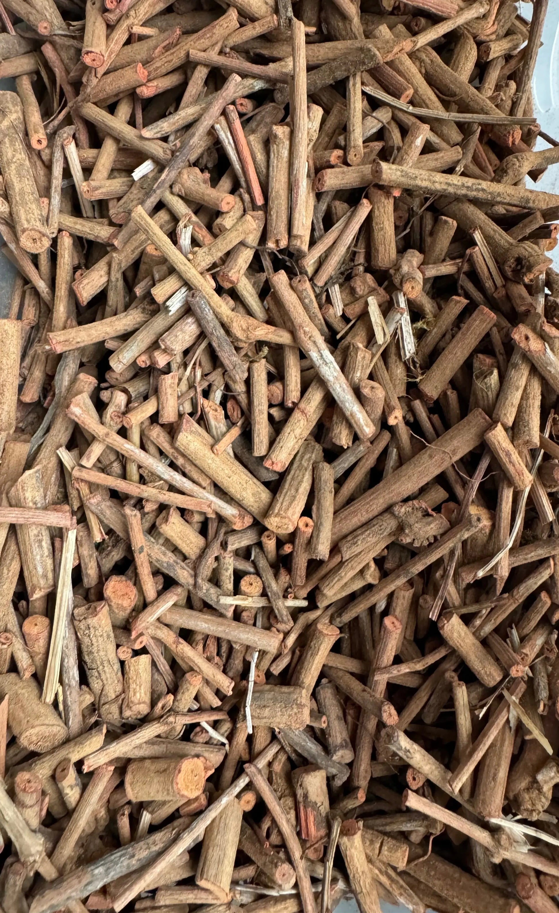 Dried Fouwa (Fou'a) madder root pieces, 50g traditional dye material, natural brown woody stems and fragments