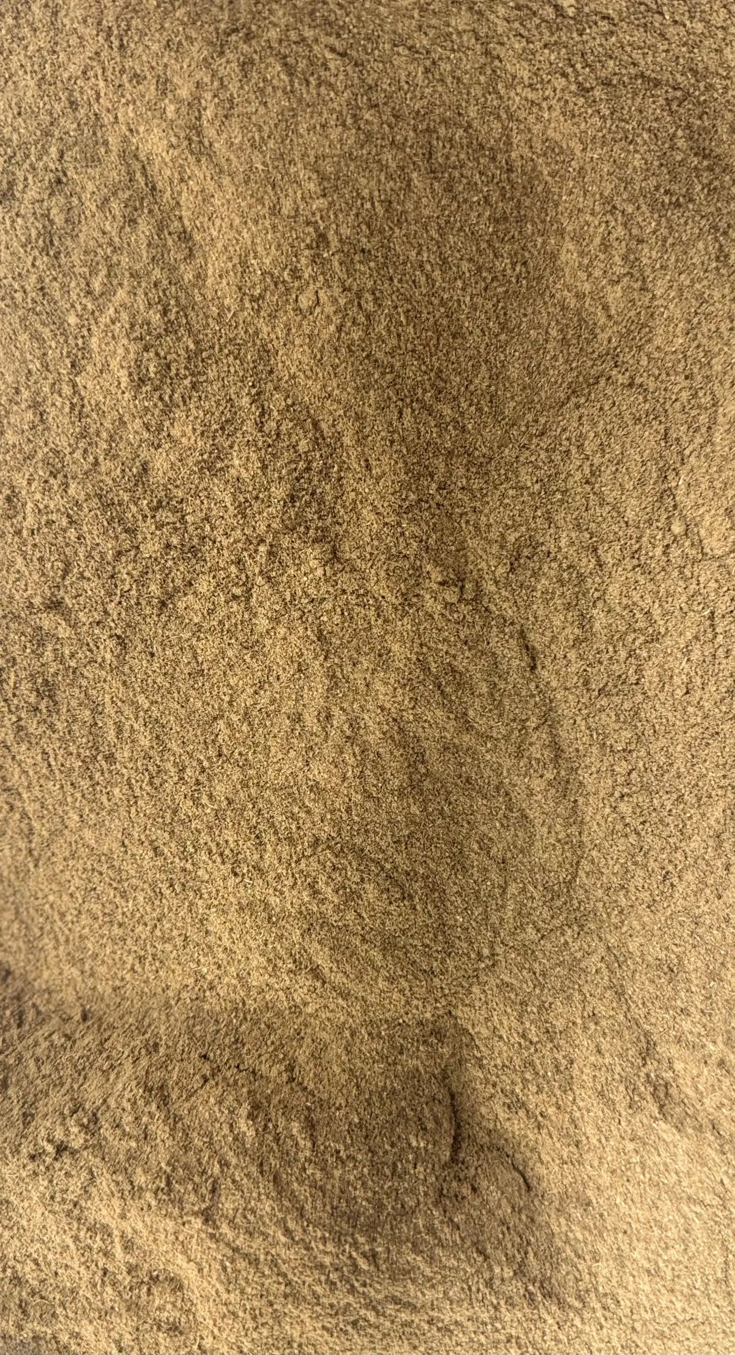 Ground Rose of Jericho (Anastatica hierochuntica) powder, natural brown texture close-up view for fertility and pregnancy