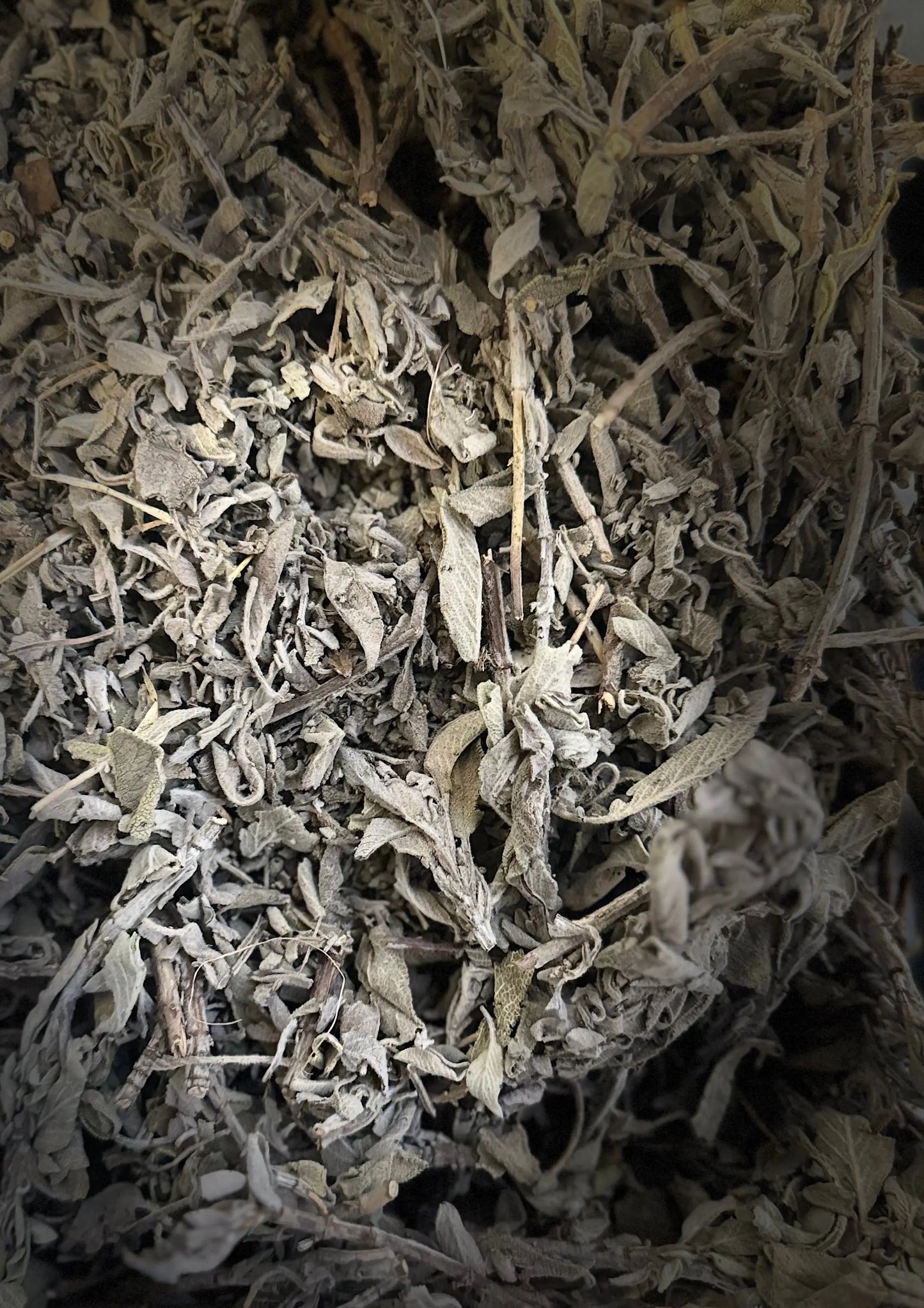 Dried Salmiya Myrtle leaves, traditional Moroccan sage herb for menopausal relief and digestive health, in gray-brown color