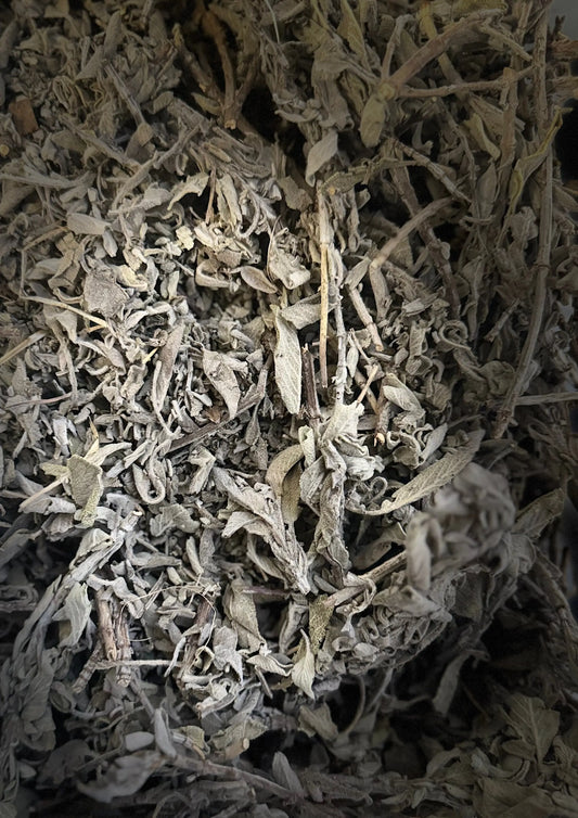 Dried Salmiya Myrtle leaves, traditional Moroccan sage herb for menopausal relief and digestive health, in gray-brown color