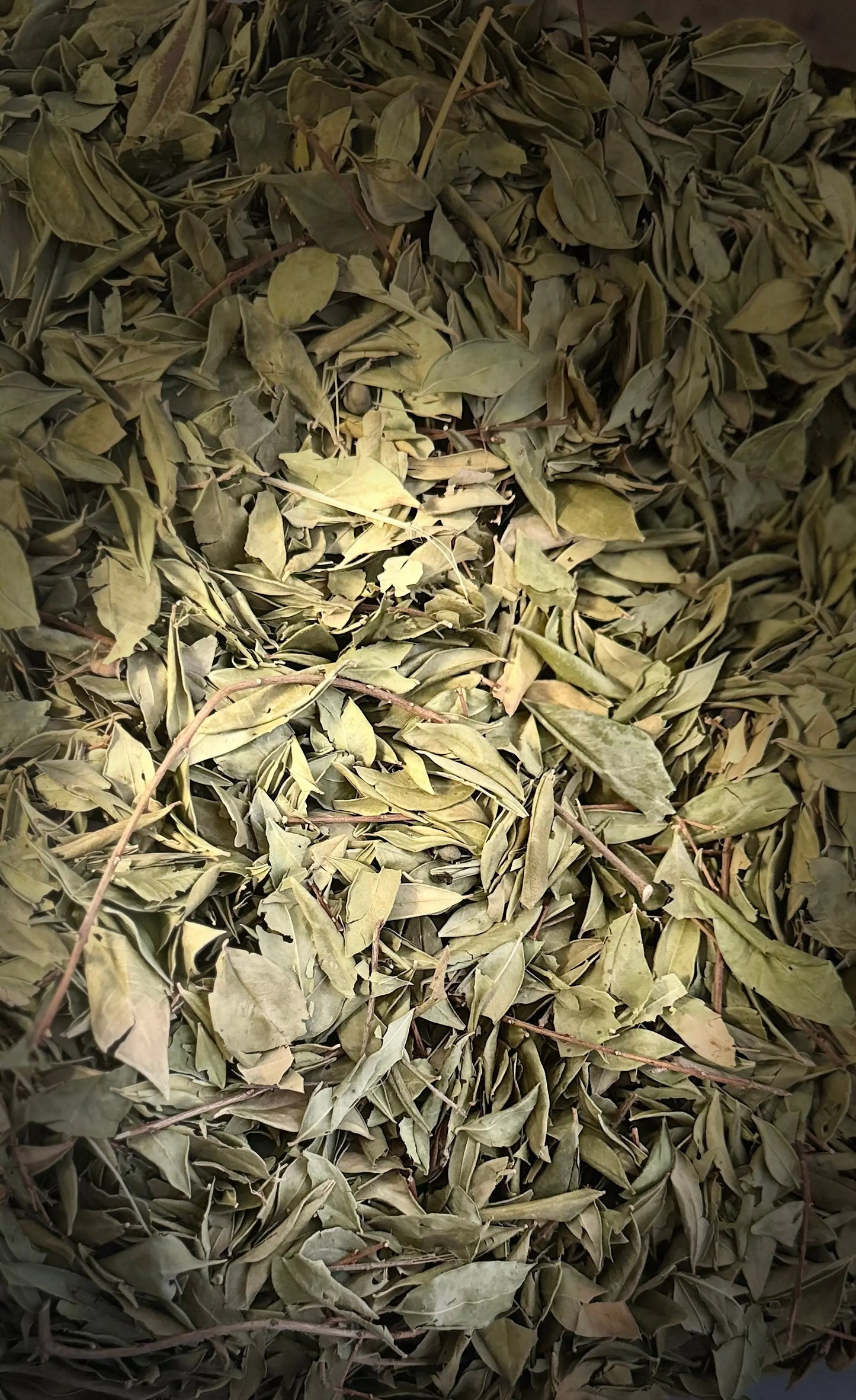 Al Rayhane dried sage leaves close-up showing natural green color and texture variations in traditional herb packaging
