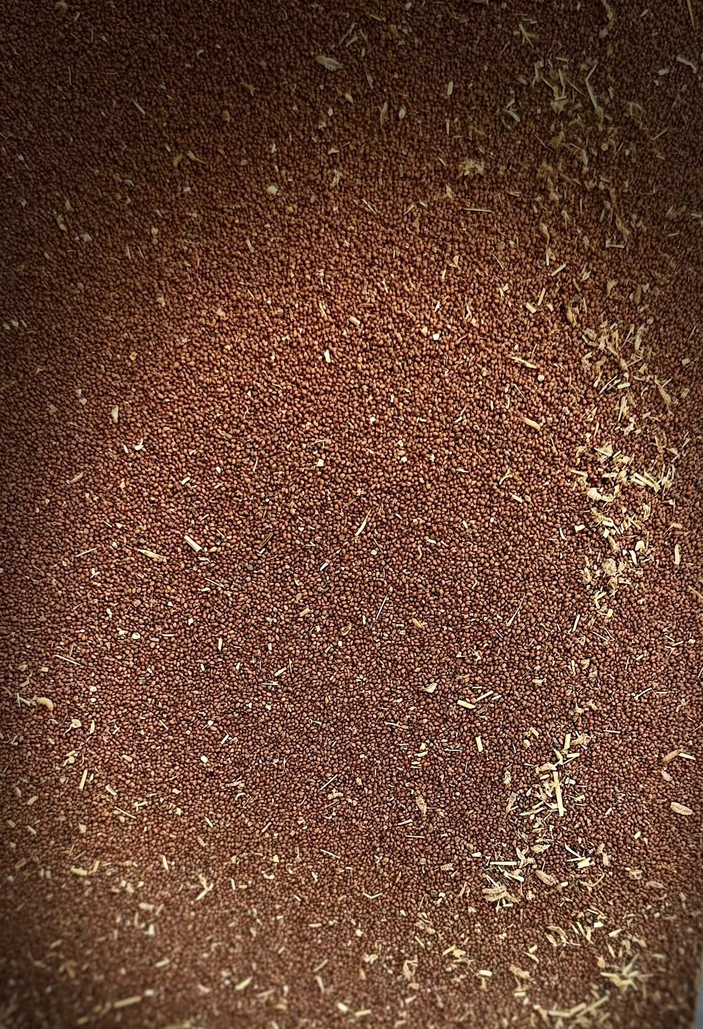 Close-up view of Graines de moutarde showing tiny reddish-brown mustard seeds with scattered dried herbs on dark background