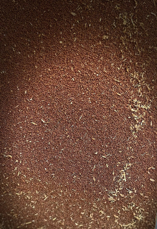 Close-up view of Graines de moutarde showing tiny reddish-brown mustard seeds with scattered dried herbs on dark background
