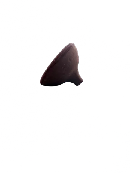 Single piece of dark brown Akkar fassi traditional Moroccan beauty product shown against white background