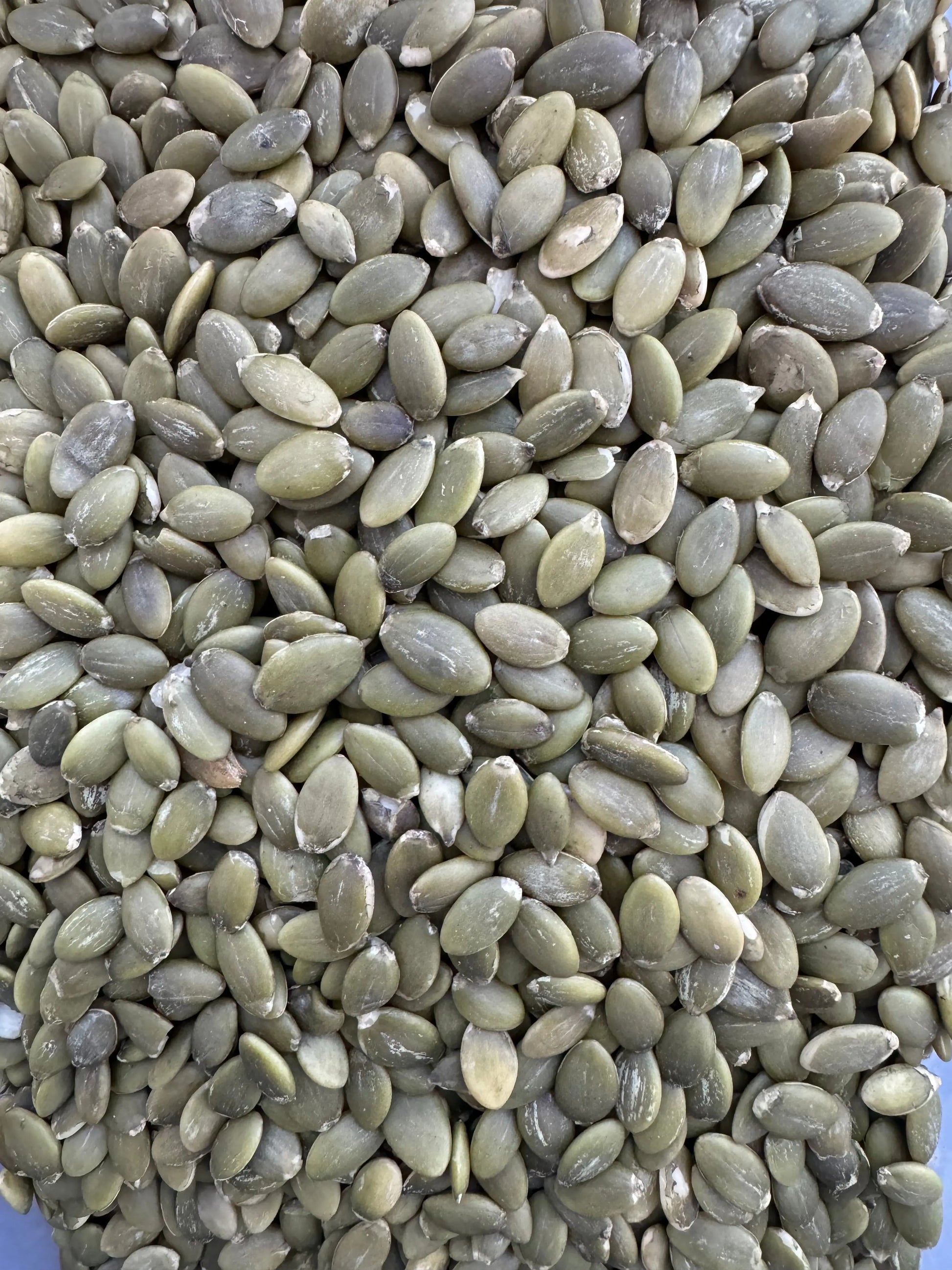 Yaqtine - 50g - زريعة اليقطين THE ORIENTAL HERBORIST