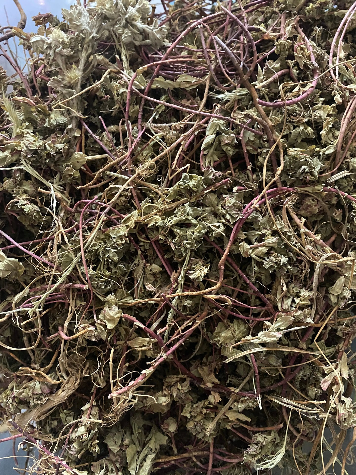 Dried Hayat el noufouss herbs with purple stems and faded green leaves, natural medicinal plant for urinary and libido support
