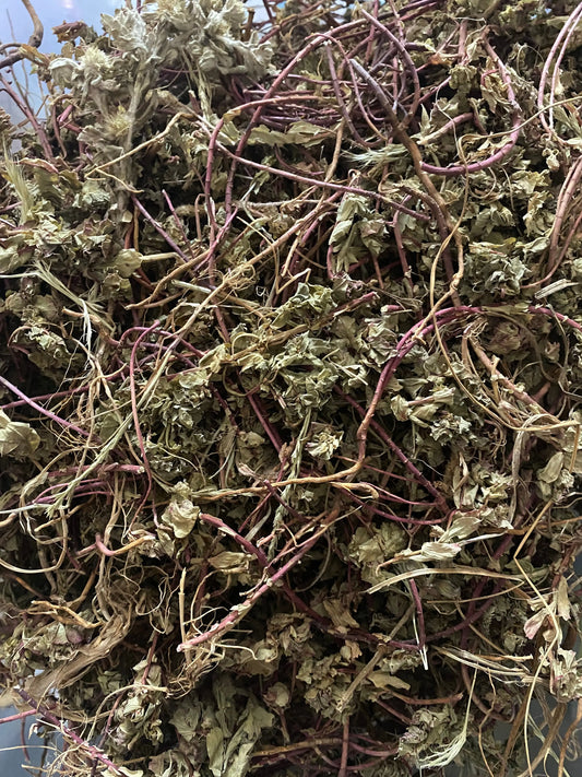 Dried Hayat el noufouss herbs with purple stems and faded green leaves, natural medicinal plant for urinary and libido support