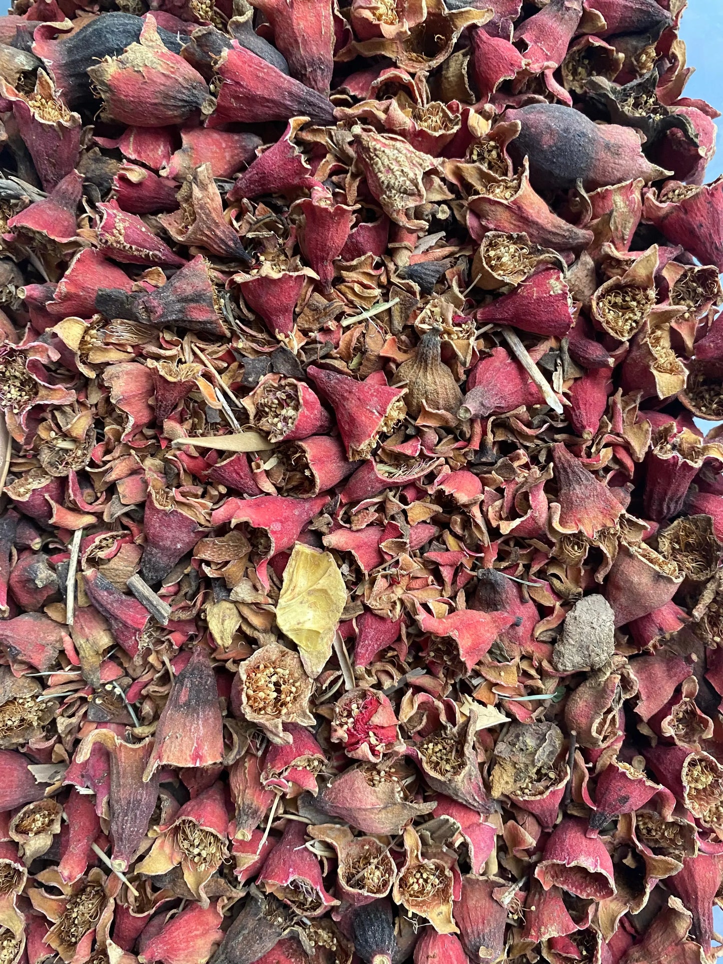 Rmimina dried pomegranate flowers in deep burgundy and brown colors, traditional natural remedy for oral health and hair care