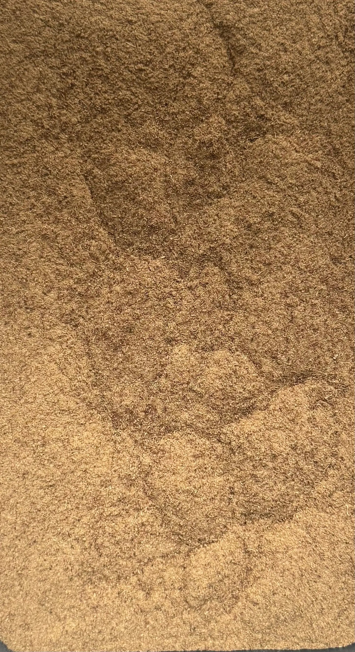 Fine brown powder of Rose de Jericho (Chajarat Maryam) showing natural texture and consistent ground consistency