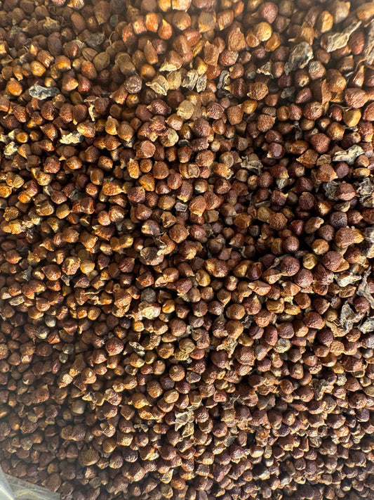 Close-up view of Gouza sahraouia spice blend showing small, round, reddish-brown seeds in bulk quantity