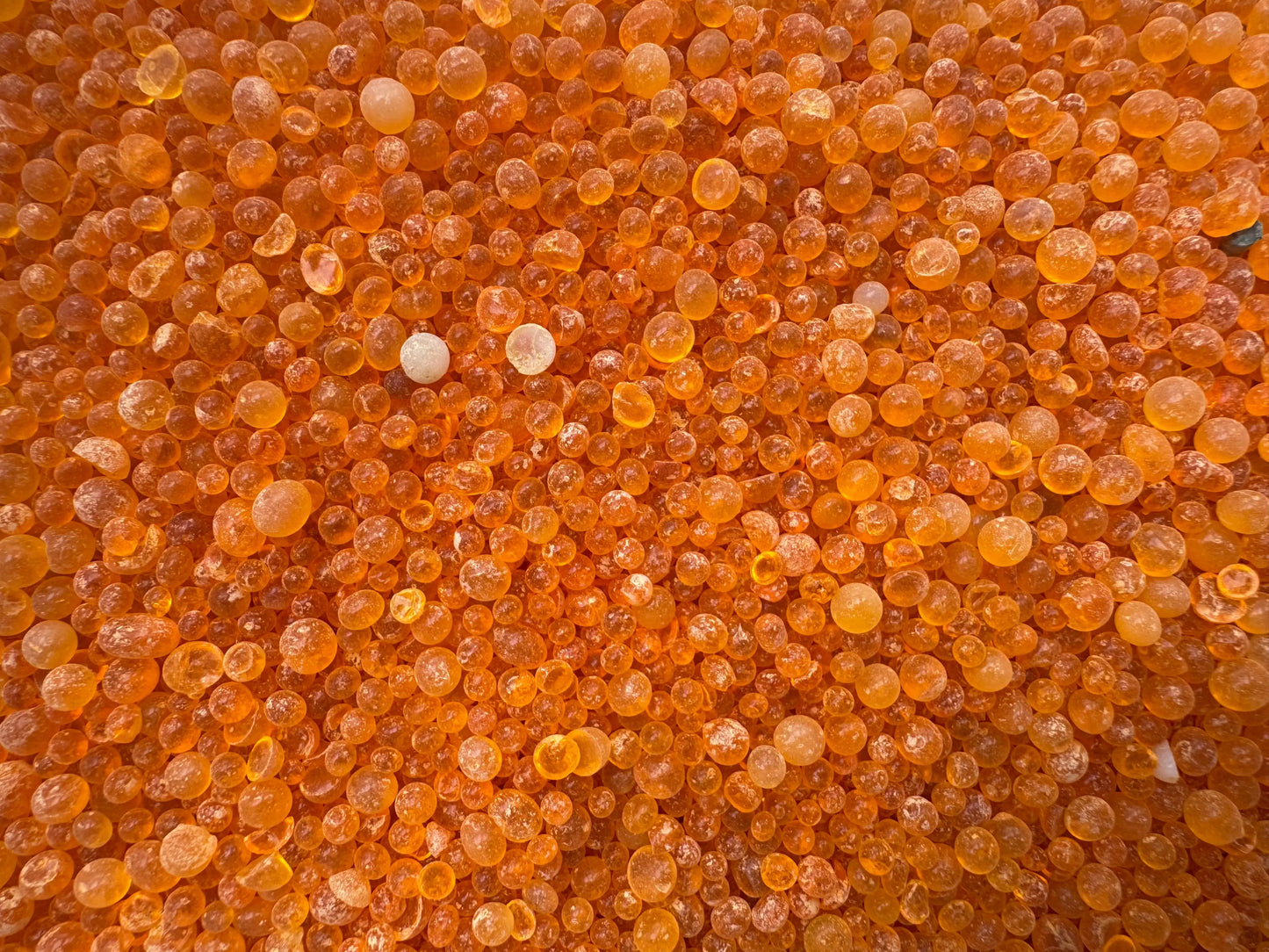 Hikma orange - 30g - حكمة THE ORIENTAL HERBORIST