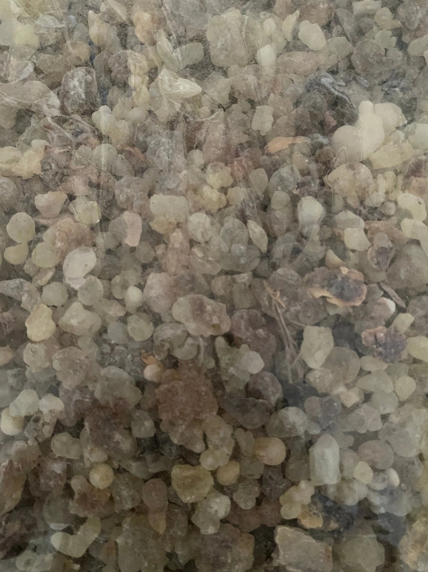 Omani Luban Dakar Chaabi frankincense resin crystals in natural beige and gray tones, traditional incense from Oman