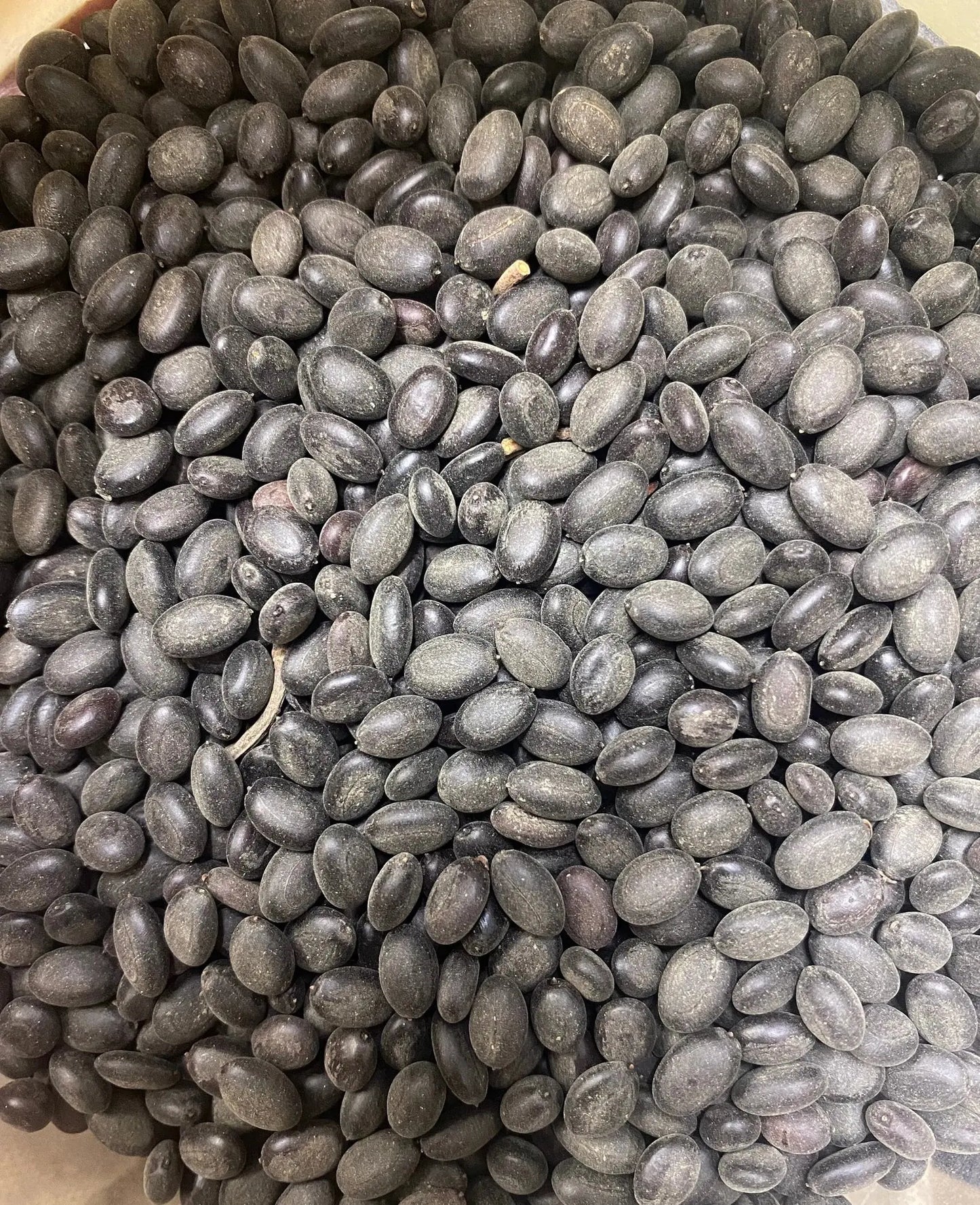 Fresh Semqala black watermelon seeds 30g pack, traditional Middle Eastern snack with natural dark grey color