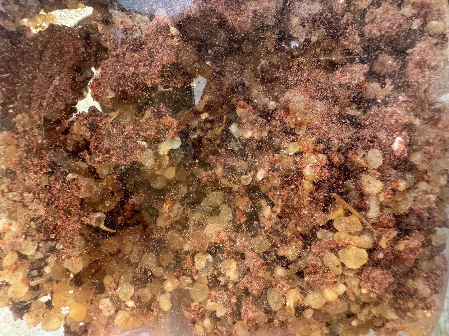 Tfoussikha - 50g - natürliches Abwehrmittel gegen fliegende Insekten: Fliegen, Mücken etc., Reinigung