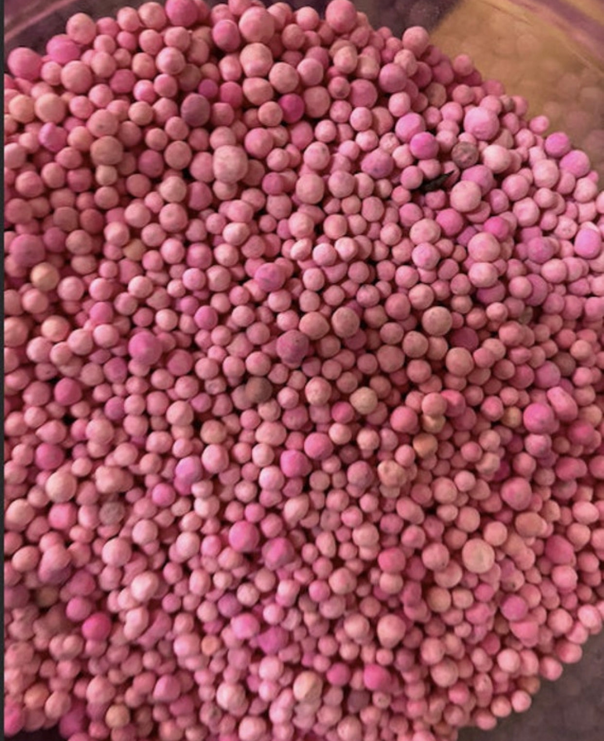 Habala PURE - 1 gram - هبالة - habbala - love, luck, attraction of the loved one, couple reconciliation, marriage - hbala, hebala