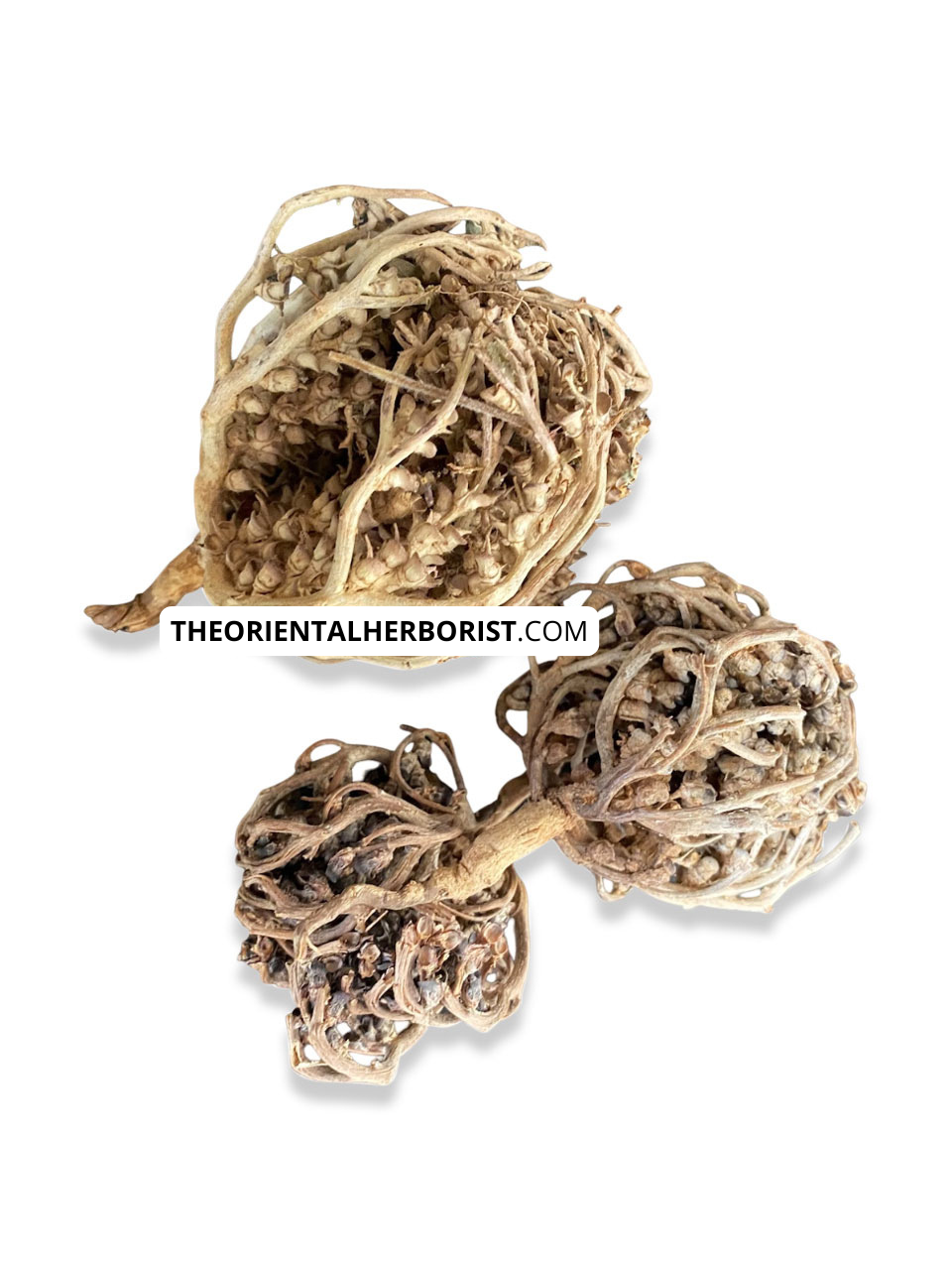 Chajarat Mariam - Roos van Jericho - Anastatica hierochuntica - vruchtbaarheid, zwangerschap, stimulatie, شجرة كف مريم