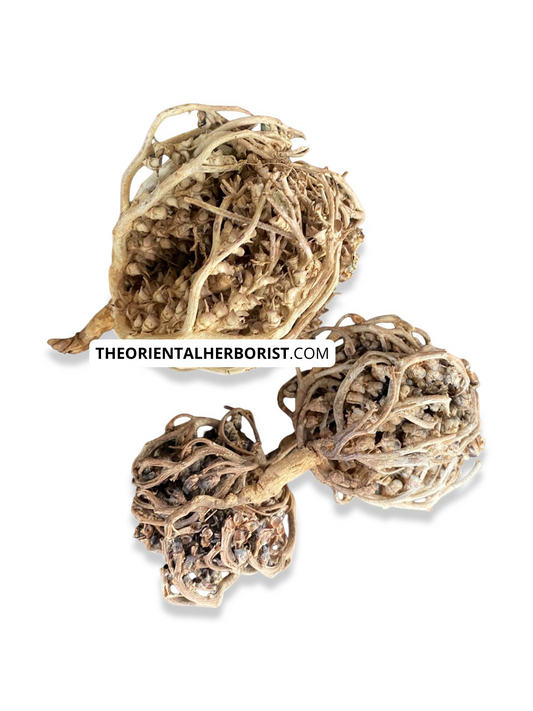 Chajarat Mariam - Rose of Jericho - Anastatica hierochuntica - fertility, pregnancy, stimulation, شجرة كف مريم