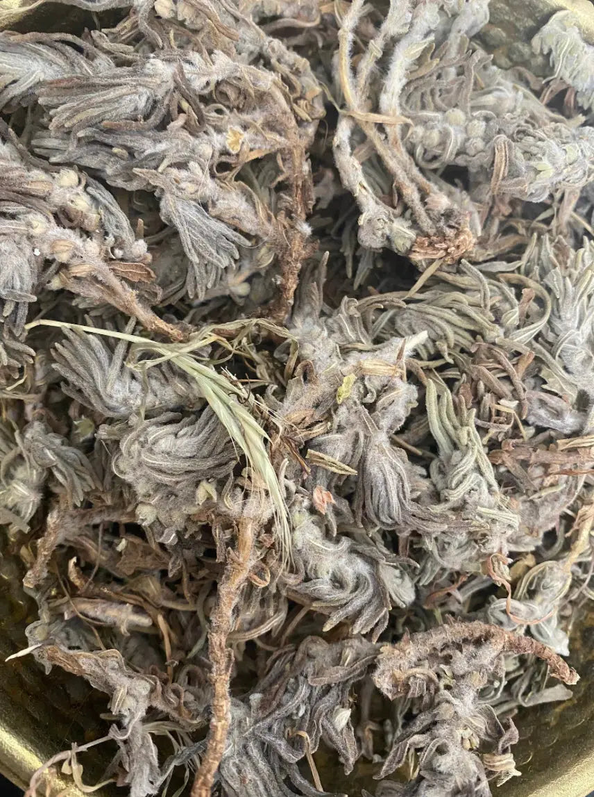 Dried Chandgoura herb (Ajuga iva) close-up showing gray-green dried leaves and stems in natural texture pattern