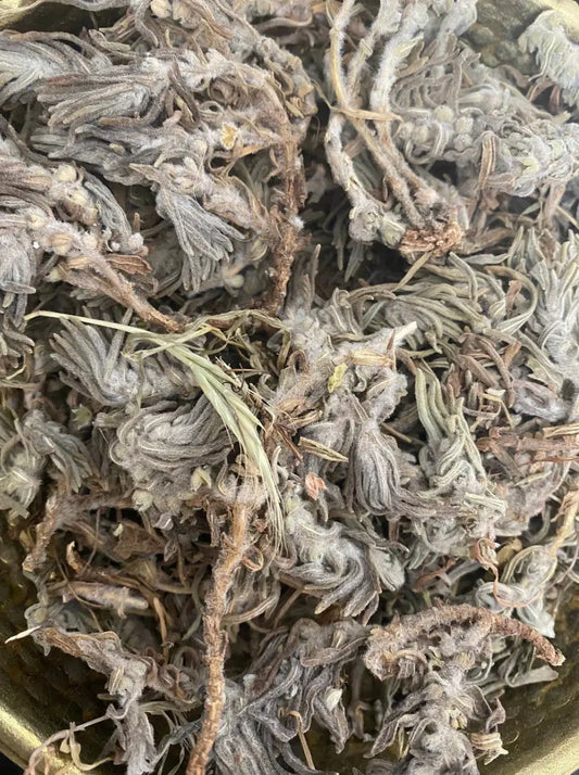 Dried Chandgoura herb (Ajuga iva) close-up showing gray-green dried leaves and stems in natural texture pattern