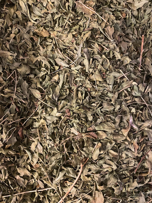 Dried henna leaves for protection and wish fulfillment, traditional Arabic henne powder in natural loose form