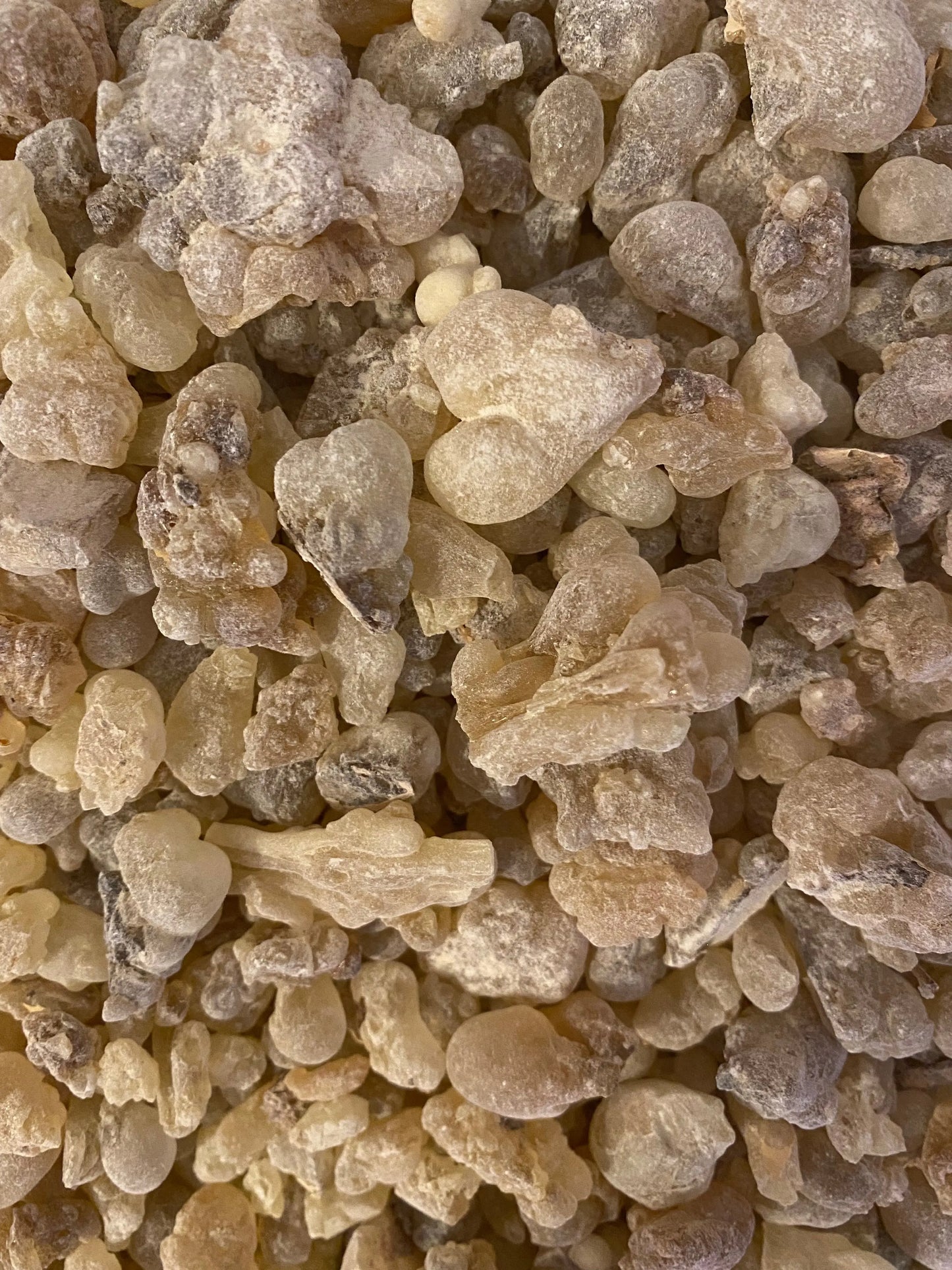 Najdi Frankincense resin from Oman - natural golden-white crystalline incense pieces for burning and protection