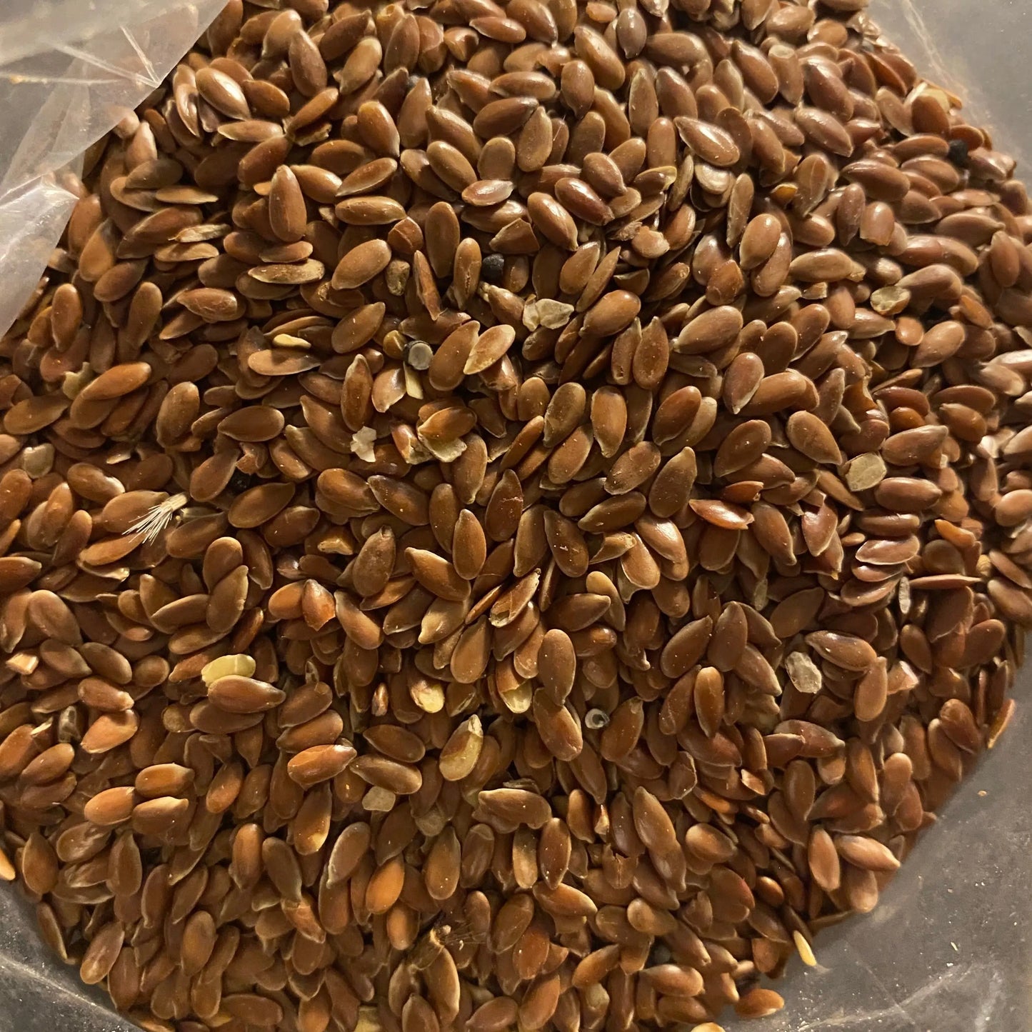 Fresh brown flax seeds Graines de lin in clear packaging, showing natural whole seeds with golden-brown color