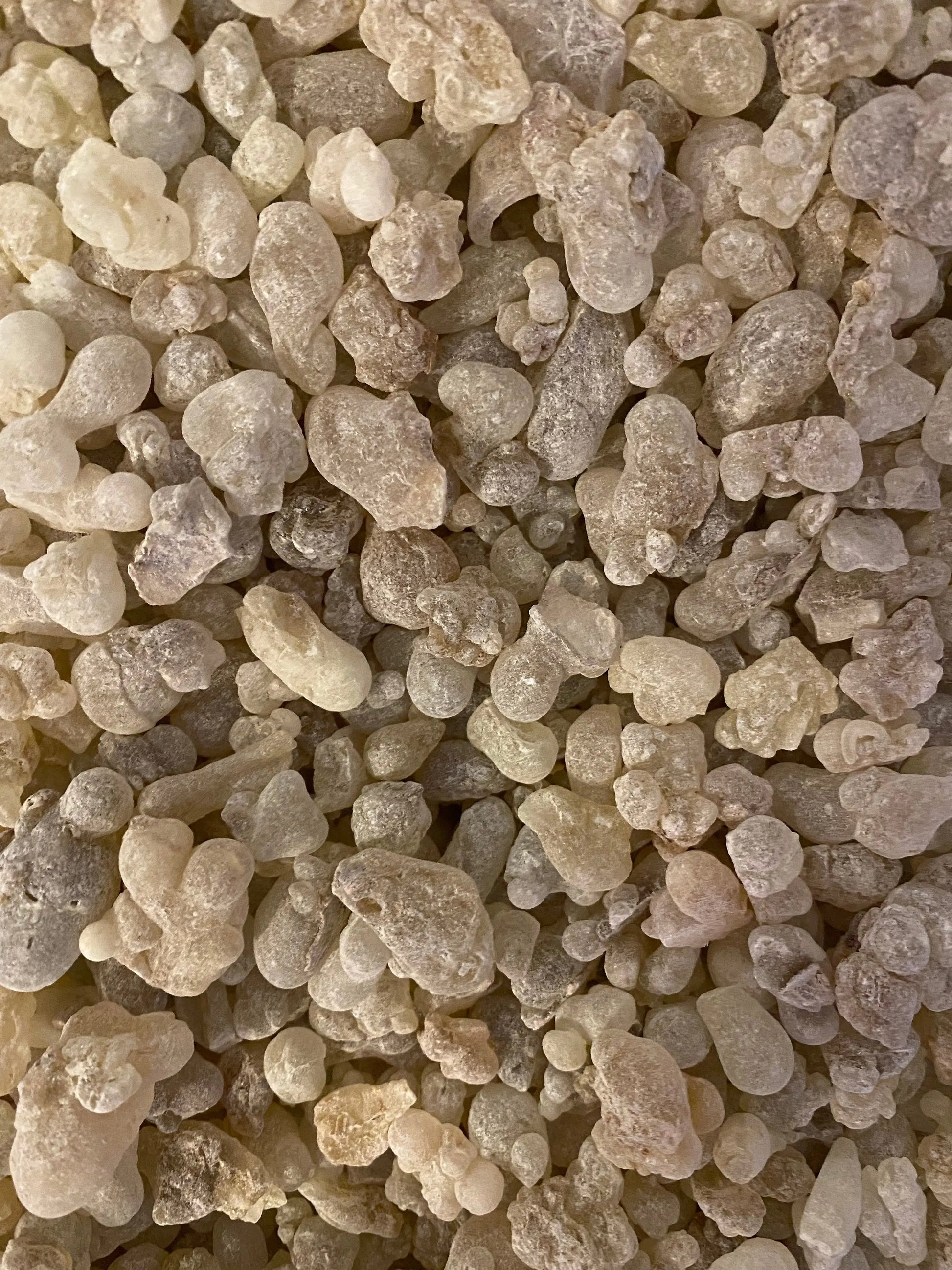 Premium Oliban hawjari frankincense resin crystals from Salalah, Oman, showing natural white and cream colored granules in detail