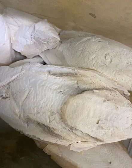 zabad el bahr - Ecume de mer - lissane al bahar - 50g - زبد البحر theorientalherborist