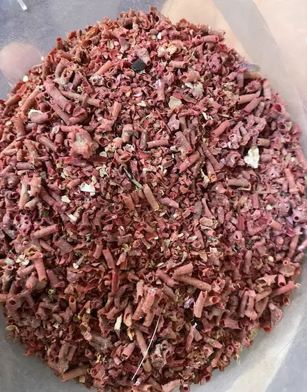 Morjane - 3 grammes - plante -encens - عشبة المرجان - بخور - theorientalherborist